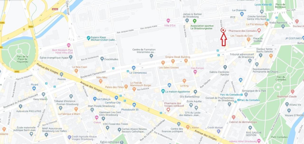 Le 22 Ehrmann Διαμέρισμα Στρασβούργο Εξωτερικό φωτογραφία